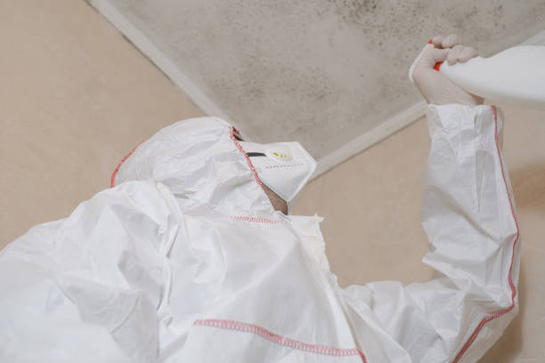 Best Crawl Space Mold Removal  in Charleroi, PA